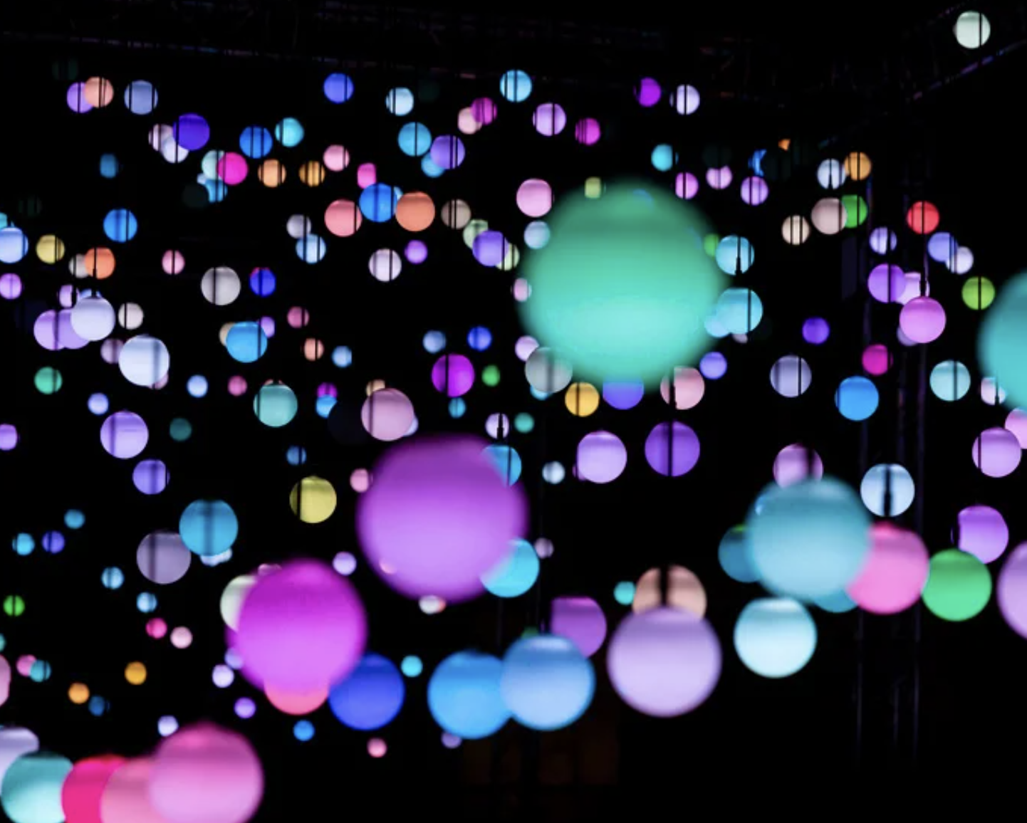 What’s on in January